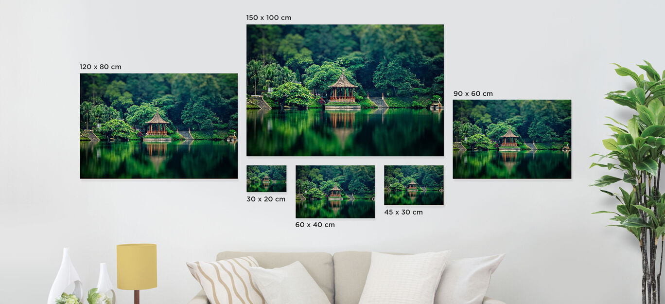 Différentes images murales d'un abri près de l'eau avec des arbres verts, créant une atmosphère harmonieuse.
