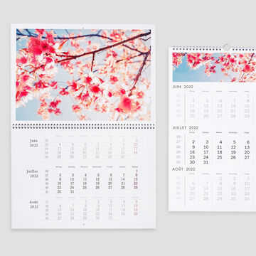 Beau calendrier avec des cerisiers en fleurs et un mois imprimé