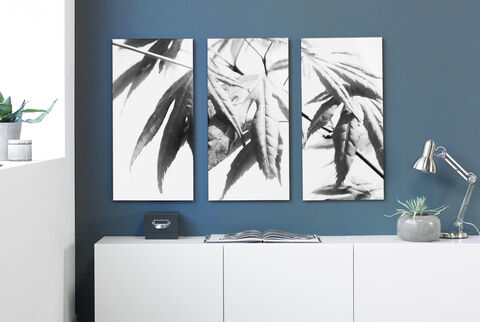 Trois grandes images monochromes de feuilles accrochées à un mur bleu.