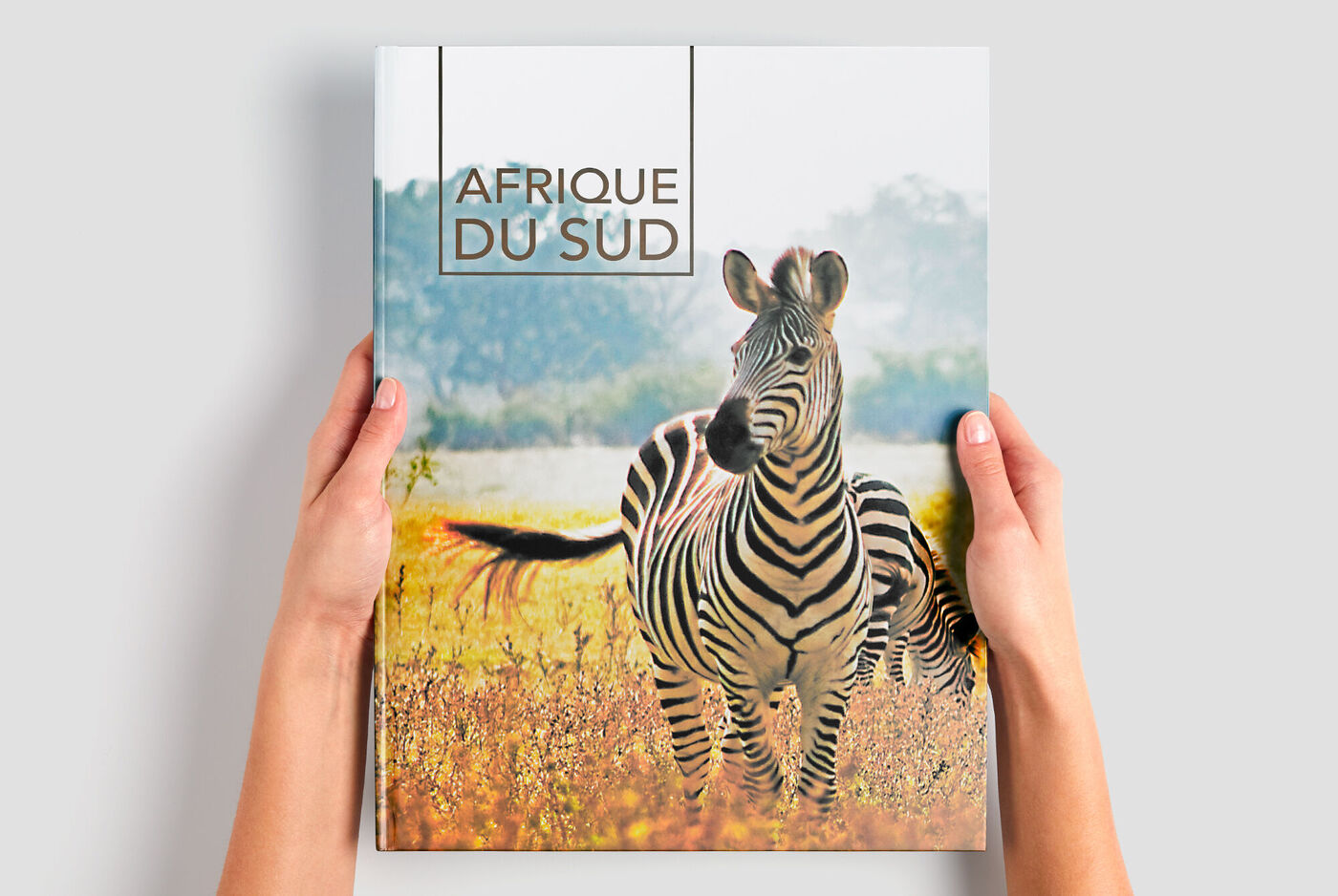 Une personne tient un album photo avec un motif zèbre dans les mains. Le titre de l'album est "AFRIQUE DU SUD".