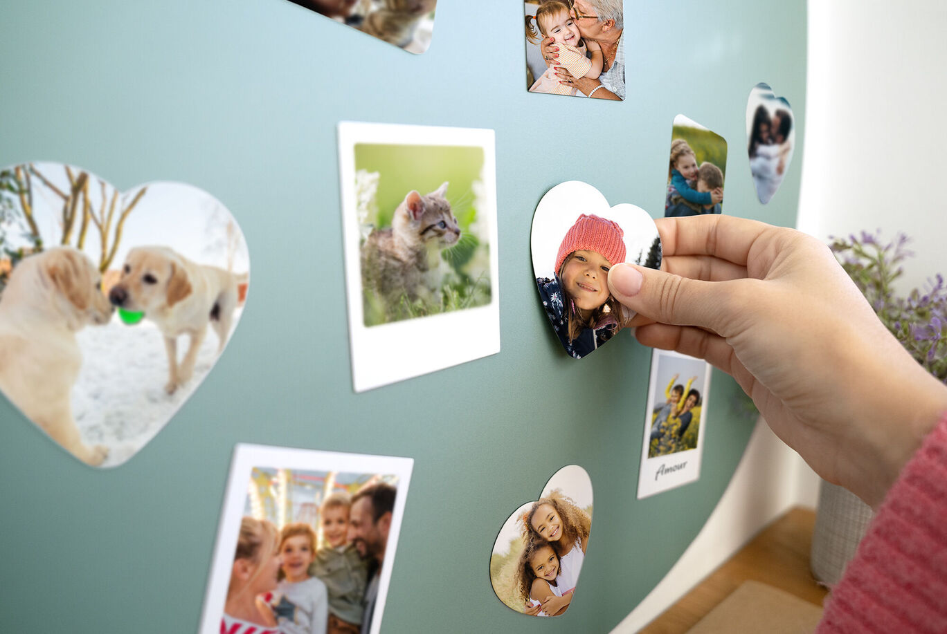 Une main fixe une photo en forme de cœur sur un mur avec d'autres images d'animaux et de moments heureux.